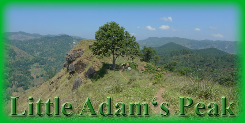 Adams Peak